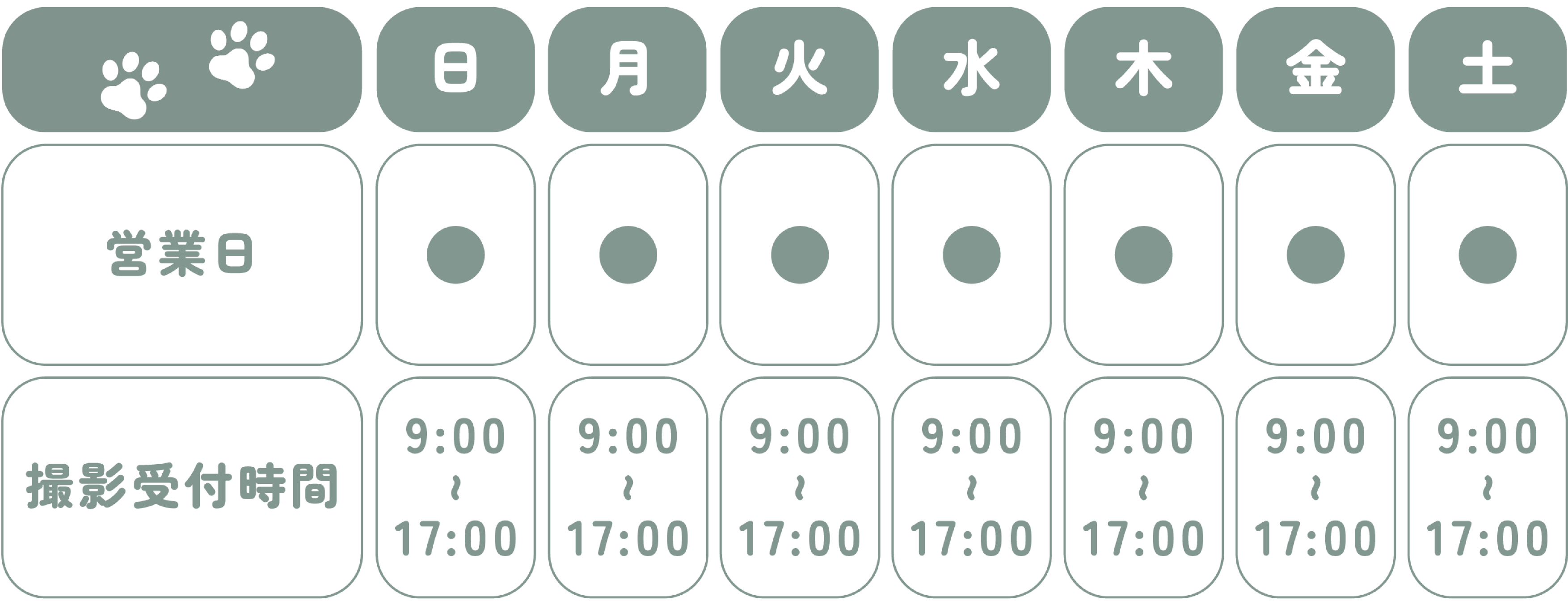 STUDIO QOQOの営業日